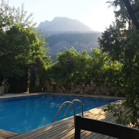 Guest house Beydagi